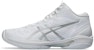ASICS Gelhoop V16 Ekstra Lebar 'Putih Perak Tulen' 1063A080-100