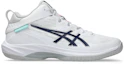 Buy ASICS GELHOOP V17 Extra Wide Basketball Shoes White/Blue Expanse 1063A097-104