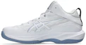 Shop ASICS GELHOOP V17 寬版籃球鞋 白色/靜靛藍 1063A097-106