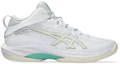 Buy ASICS GELHOOP V17 STANDARD 1063A096-101