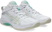 Lookbook ASICS GELHOOP V17 STANDARD 1063A096-101
