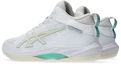 Shop ASICS GELHOOP V17 STANDARD 1063A096-101