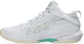 Purchase ASICS GELHOOP V17 STANDARD 1063A096-101