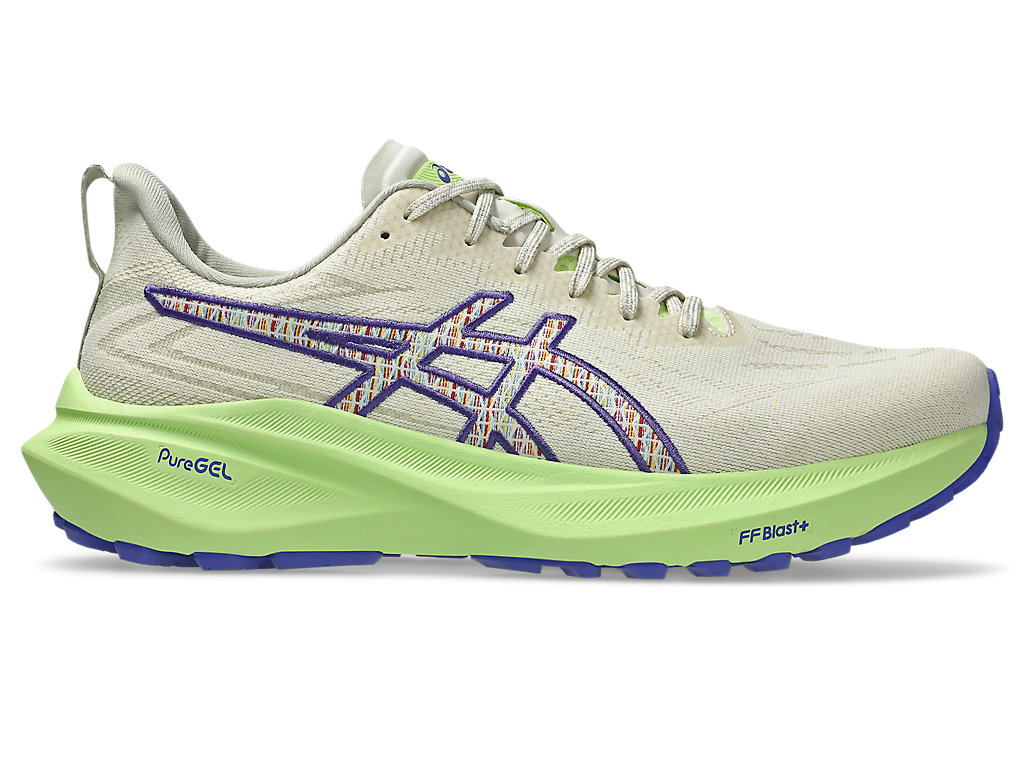 ASICS GT-2000 13 TR 1011C042-300