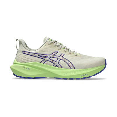 ASICS GT-2000 13 TR