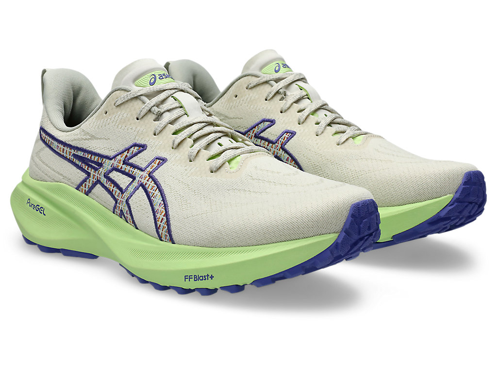Shop ASICS GT-2000 13 TR 跑鞋 1011C042-300
