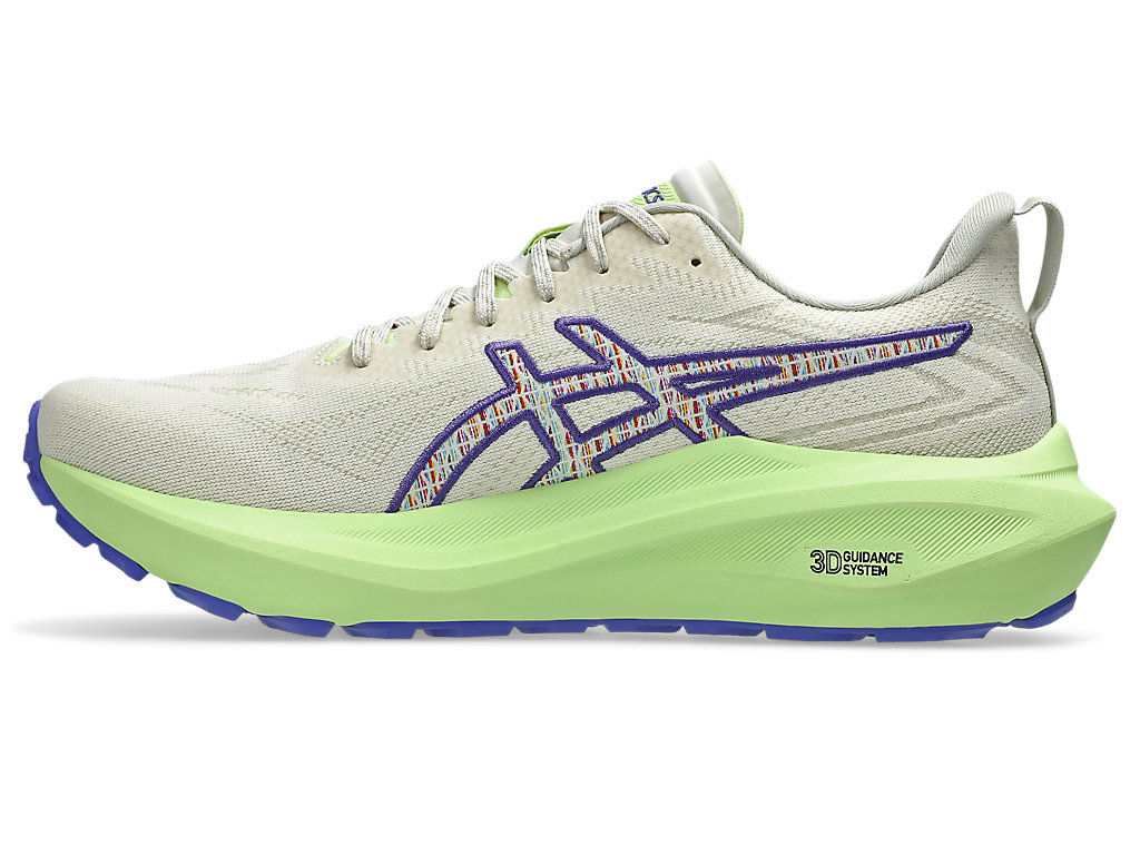 Details for ASICS GT-2000 13 TR 跑鞋 1011C042-300