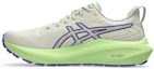 Details for ASICS GT-2000 13 TR 跑鞋 1011C042-300