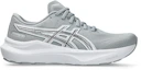 Buy ASICS GT-2000 14 ATC Sepatu Lari Abu Piedmont/Perak Murni 1011C220-020