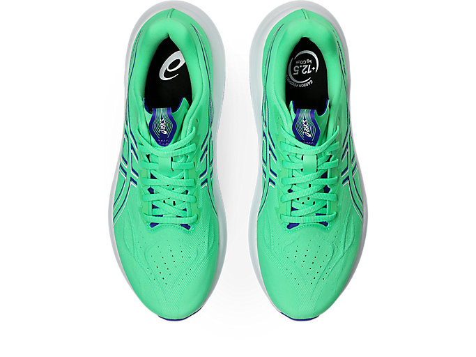 Details for ASICS GT-2000 14 跑鞋 維塔綠/鈷藍爆裂 1011C056-300