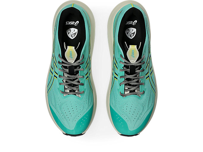 Details for ASICS GT-2000 14 TR 越野跑鞋 綠光極光/仙人掌 1011C219-300