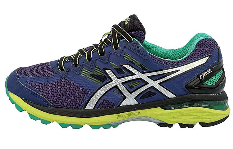 ASICS GT-2000 4 GTX 'Blue Purple Silver' T613N-5093