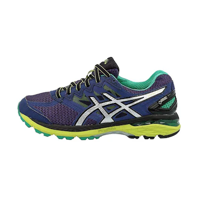 ASICS GT-2000 4 GTX 'Blue Purple Silver'