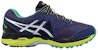 ASICS GT-2000 4 GTX 'Biru Ungu Perak' T613N-5093