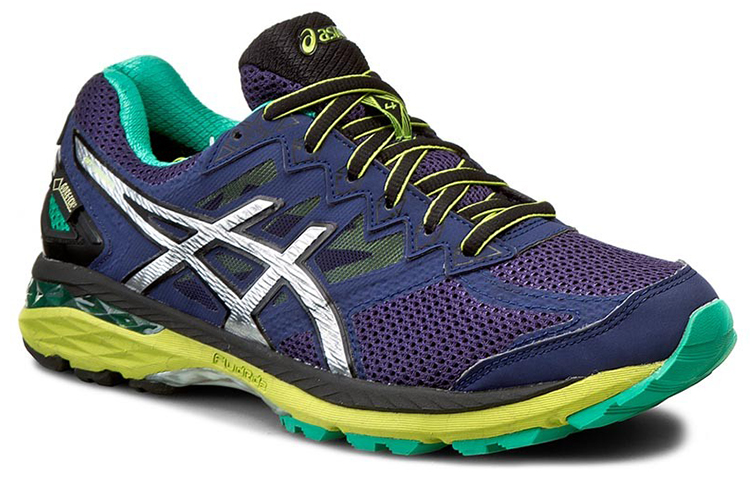 Lookbook ASICS GT-2000 4 GTX ''Blauw Paars Zilver'' T613N-5093