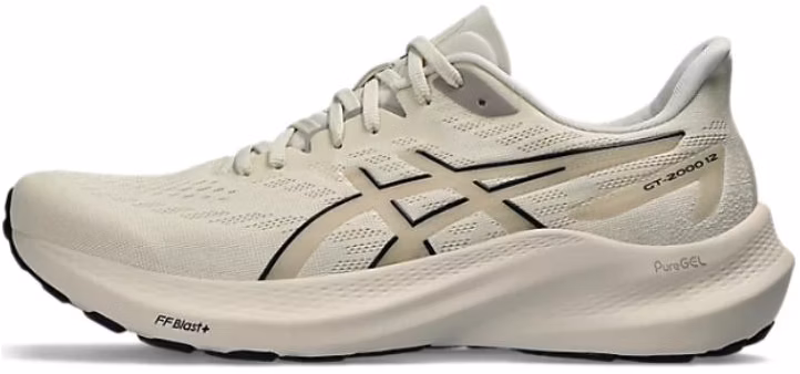 asics-gt-2000-12-oatmeal-1011-b691-250