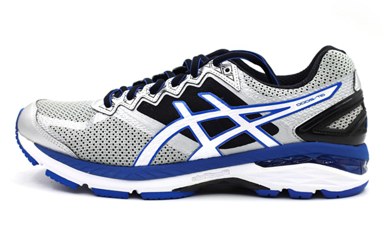 ASICS GT 2000 4 'Silver Royal' T606N-9301
