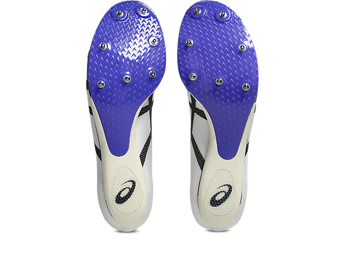 Sizing 아식스 메타스피드 스카이 플러스 2 러닝화 화이트/코발트 버스트 1093A234-101