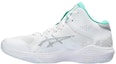 Buy ASICS Nova Flow '白绿色' 1063A071-101