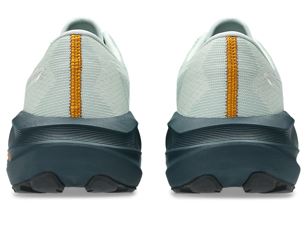 Purchase 亞瑟士 NOVABLAST 5 越野跑鞋 自然浴/地衣岩 1011C138-300