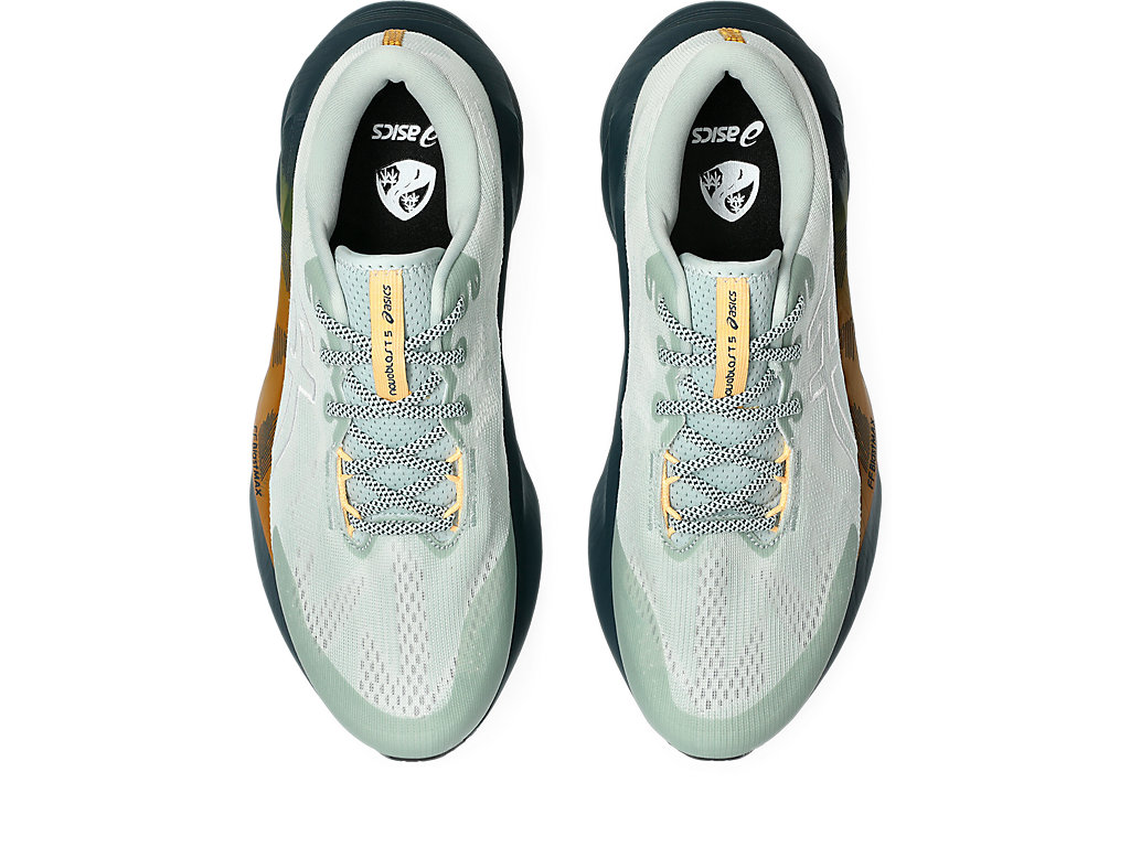 Details for 亞瑟士 NOVABLAST 5 越野跑鞋 自然浴/地衣岩 1011C138-300