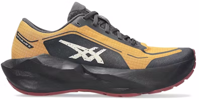 ASICS Novablast 6 Gore Tex 'Sandstorm Black' 1011C256-800 ASICS Novablast 6 Gore Tex 'Sandstorm Black' 1011C256-800