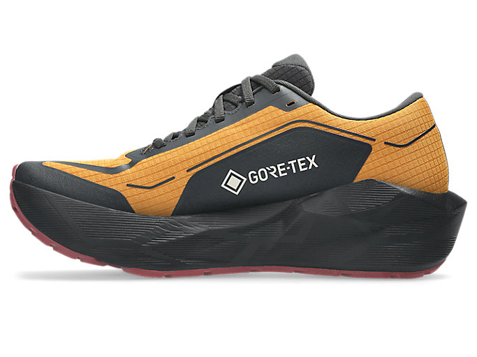 Order ASICS Novablast 6 Gore Tex 'Sandstorm Black' 1011C256-800