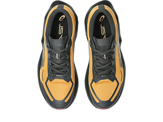 Details for ASICS Novablast 6 Gore Tex 'Sandstorm Black' 1011C256-800