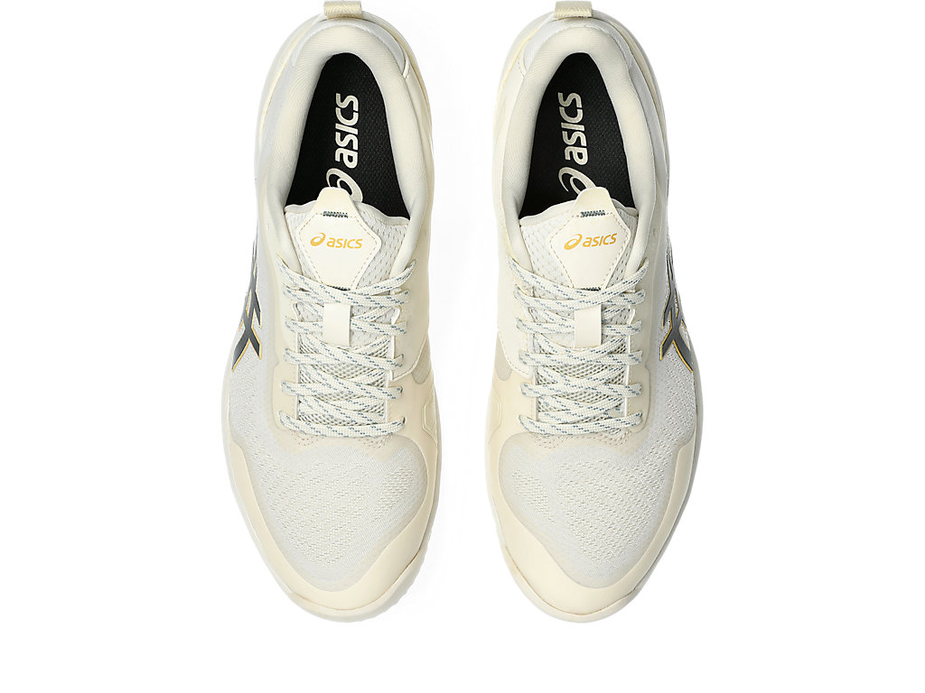 Details for 亚瑟士PRESTIGELYTE 5 OC网球鞋 沙色/蓝色 1043A021-200