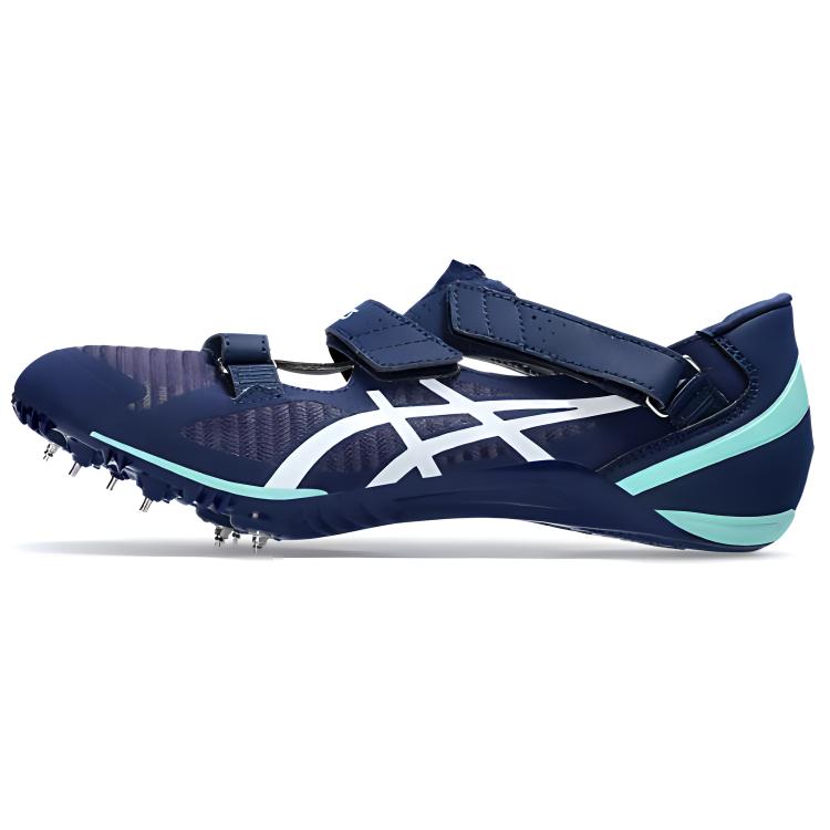 Buy ASICS Sepatu Lari Rendah 'Biru' 1093A134-401