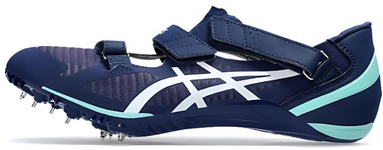 アシックス ランニングシューズ ローカット ブルー (Ashikkusu ranningushūzu rōkatto burū) 1093A134-401 Buy アシックス ランニングシューズ ローカット ブルー (Ashikkusu ranningushūzu rōkatto burū) 1093A134-401