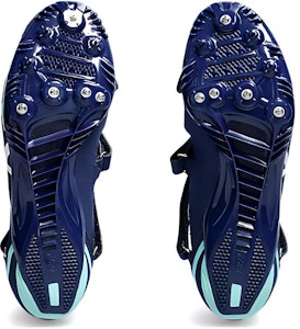 アシックス ランニングシューズ ローカット ブルー (Ashikkusu ranningushūzu rōkatto burū) 1093A134-401 Purchase アシックス ランニングシューズ ローカット ブルー (Ashikkusu ranningushūzu rōkatto burū) 1093A134-401