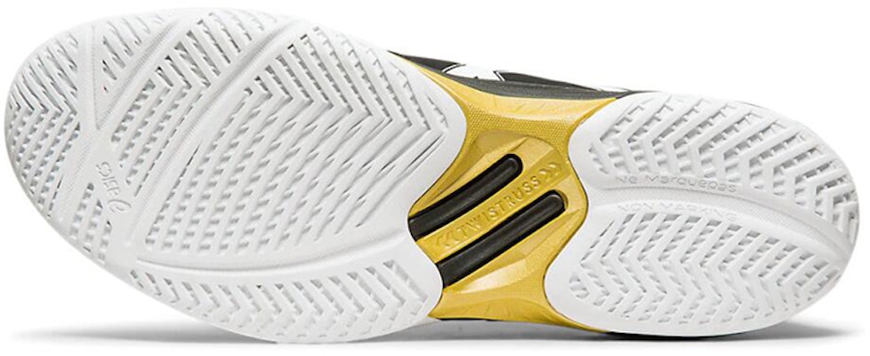 ASICS Sky Elite FF Zapatillas de Running Negro/Blanco 1051A031-001 Details for ASICS Sky Elite FF Zapatillas de Running Negro/Blanco 1051A031-001