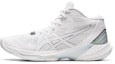Buy ASICS Sky Elite FF MT 2 'Putih' 1052A054-100