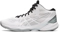 Buy ASICS Sky Elite FF MT 2 'Putih Perak Tulen' 1051A065-101