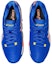 Purchase ASICS Solution Speed FF 2 'Novak Pack' Lelaki 1041A391-960
