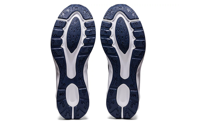 Details for ASICS Tarther Blast ''Pack Celebrazione dello Sport'' 1201A403-960