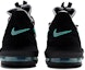 Details for Atmos x Nike LeBron 16 Low "冰玉绿" CD9471-003