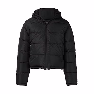 Balenciaga Black Solid Color Zip-Up Hooded Puffer Jacket. 556231TYD331000