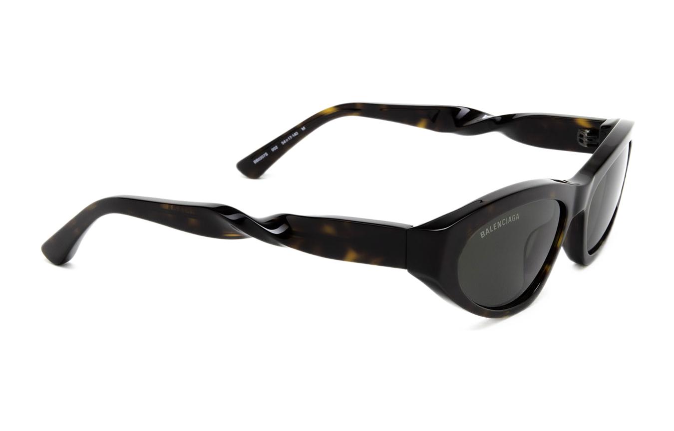Balenciaga Brown Fashion Forward Sunglasses BB0207S002