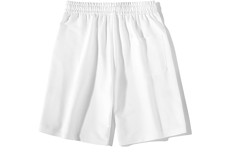 Order 베이프 배피스타 FS-001 로우 "D10 - 보라초록" 583