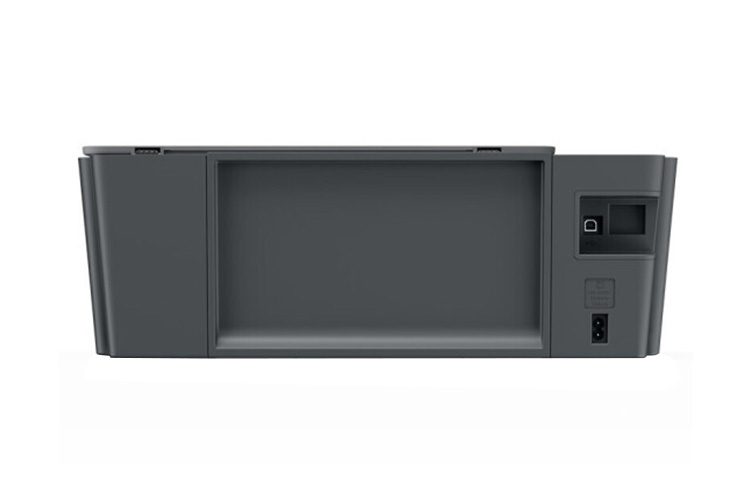 Shop 베이프 베이페스타 FS-001 로우 '녹색 오렌지' 508