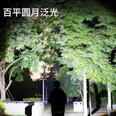 베이프 베이페스타 FS-001 로우 '레드 옐로우' 608 5