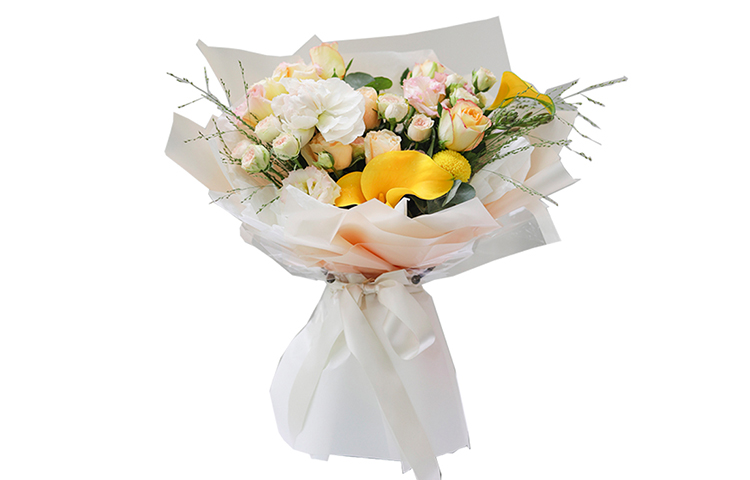 Lookbook BAPE Bapesta FS-007 Low 'Blanco Blanco' 96