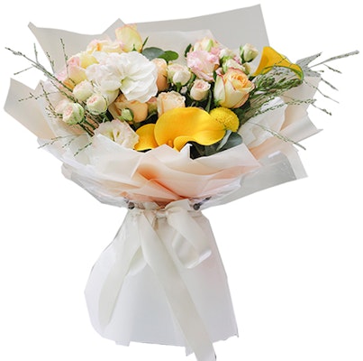 ベイプ バペスタ FS-007 ロー "ホワイトホワイト" 96 Lookbook ベイプ バペスタ FS-007 ロー "ホワイトホワイト" 96