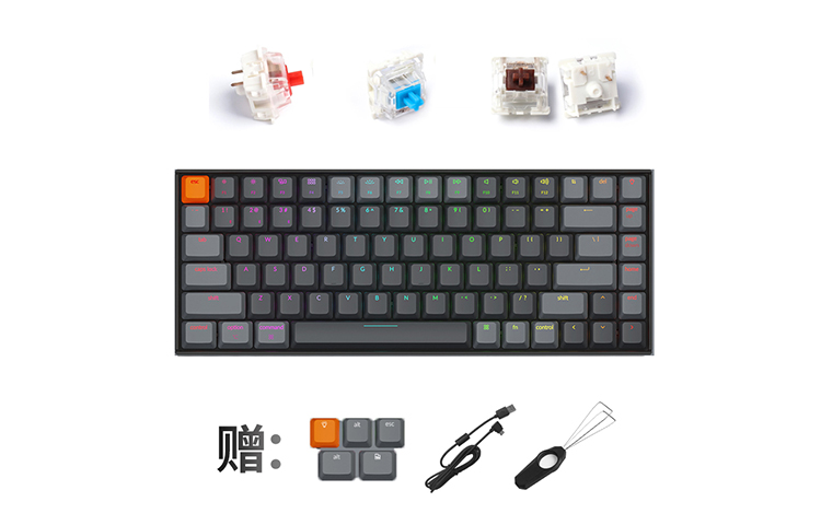 Order BAPE Bapesta FS-010 低帮蓝色帆布鞋 K2