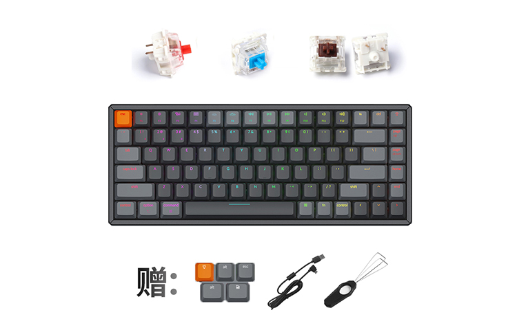 Lookbook BAPE Bapesta FS-010 低帮蓝色帆布鞋 K2