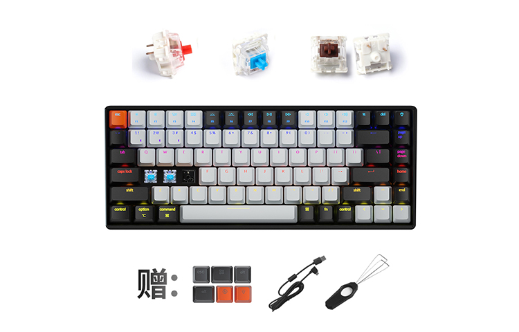 Details for BAPE Bapesta FS-010 低帮蓝色帆布鞋 K2