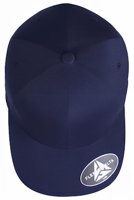 BAPE Bapesta FS-018 低筒「棕色」180 6