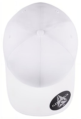 BAPE Bapesta FS-018 低筒「棕色」180 2